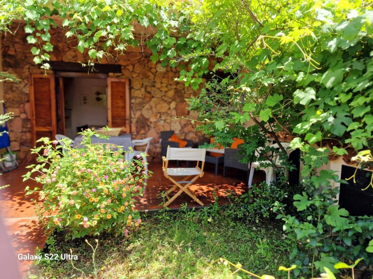 San Teodoro Appartamento Vacanze Centro エクステリア 写真